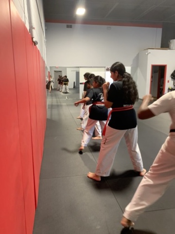 Taekwon-Do students lined up during class