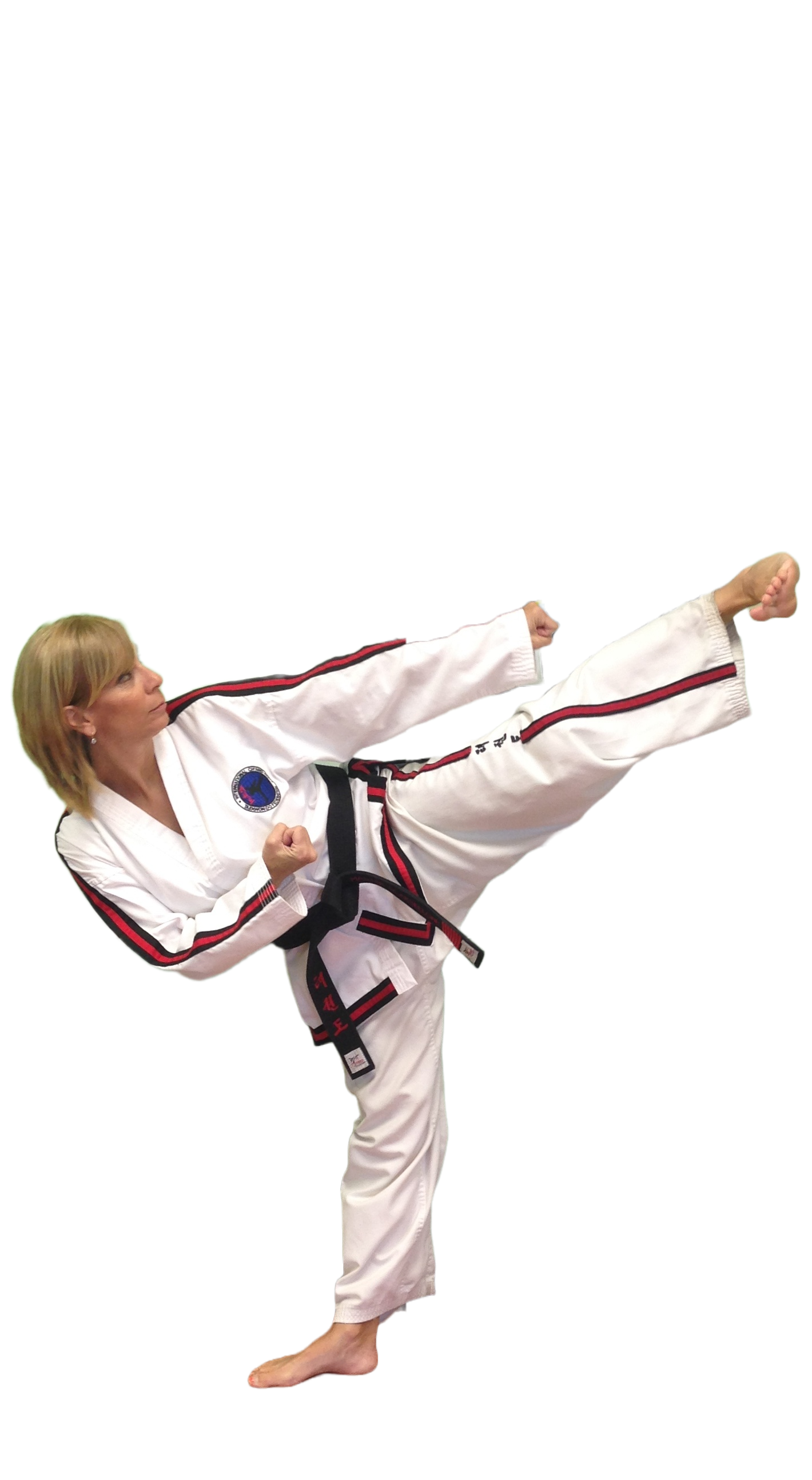 White Fang Taekwon-Do Grandmaster